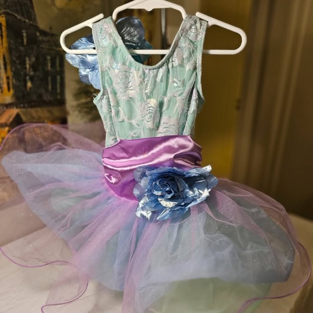 FAIRY DANCER LEOTARD TULLE SKIRT HALLOWEEN COSTUME OR DRESS UP 3T & 3 AVAILABLE